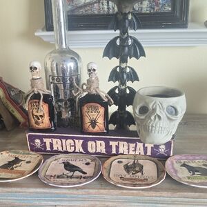 Cost Plus World Market Halloween Decor Set - Black, Silver, Purple